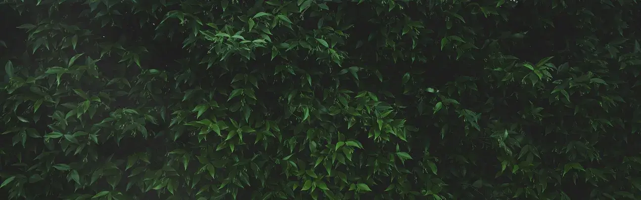 Blog header scenery 4