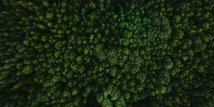 Blog header texture 2