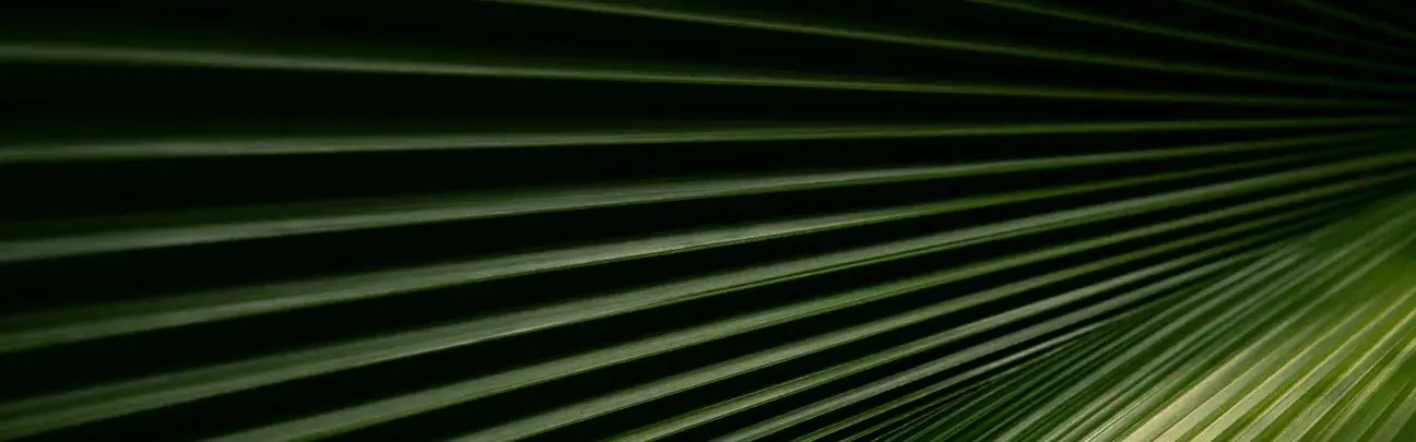 Blog header texture 1