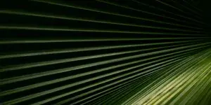 Blog header texture 1