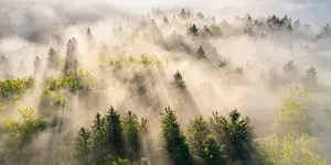 Blog header enviro 2