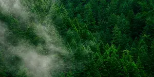 Blog header enviro 6